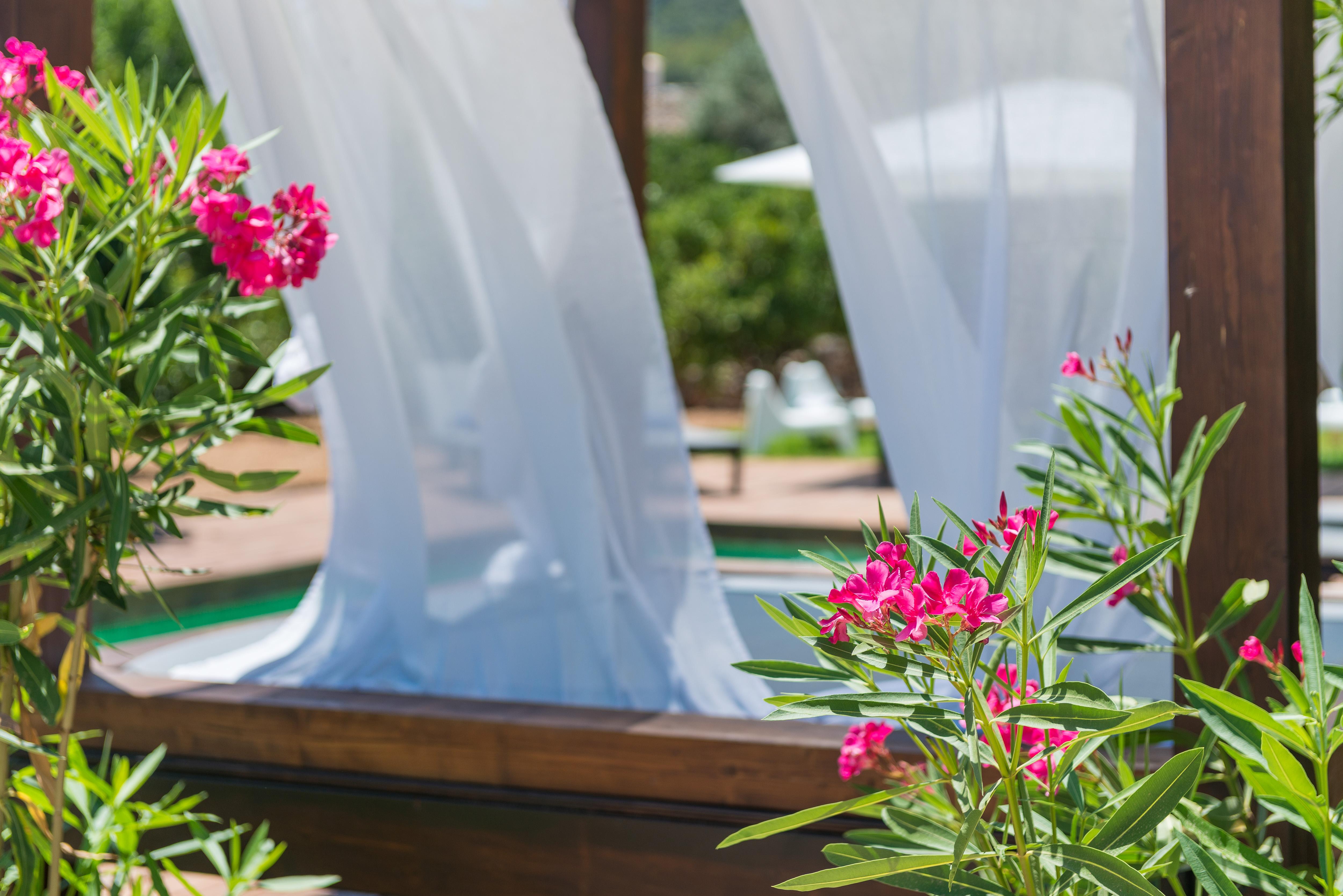 Hotel Turixant Mancor del Valle Екстериор снимка